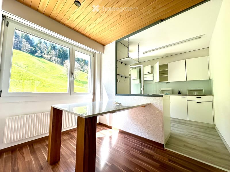 Bright kitchen with white cabinets, wooden floor, large windows overlooking a green landscape, and a central island with a glass countertop.