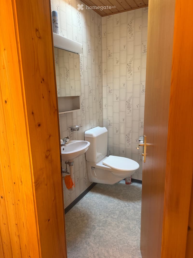 Small bathroom with a toilet, sink, mirror, and wooden walls. The floor is tiled, and a towel hangs on the wall.