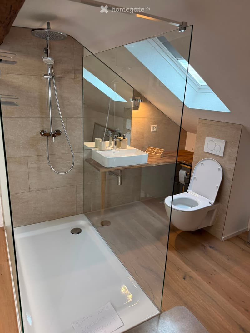 Modern bathroom with a bathtub, toilet, sink, and showerhead. Features a glass-enclosed shower area and a skylight window above the sink.