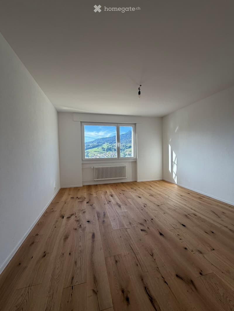 Empty room with wooden flooring, white walls, large window with scenic view, radiator, and a single light fixture on the ceiling.