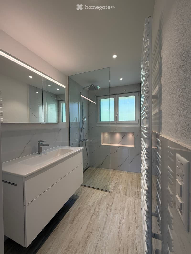 Modern bathroom with a white sink, mirrored cabinet, glass-enclosed shower, and sleek fixtures.