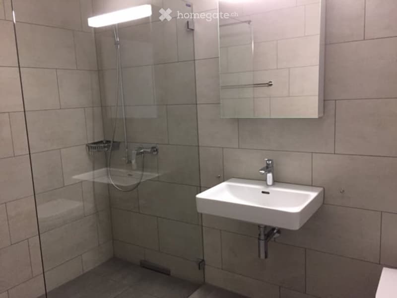 Modern bathroom with a white sink, a large mirror, and a glass-enclosed shower area.