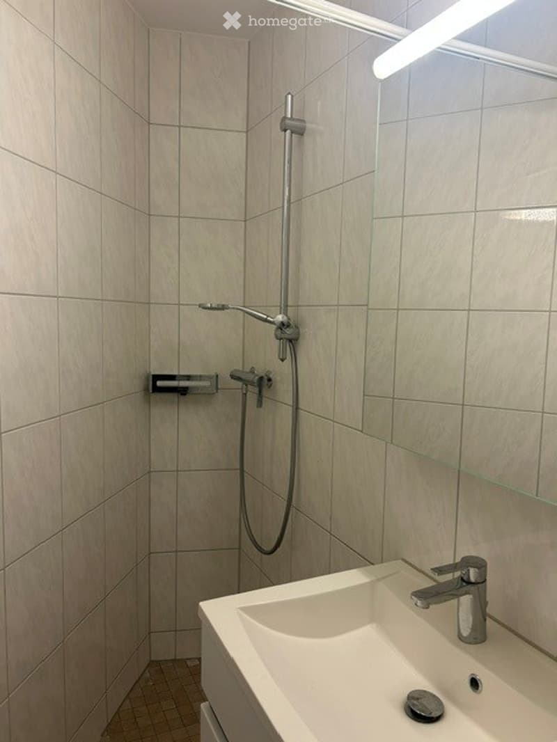 Modern bathroom with a white sink, chrome faucet, and a shower area with a handheld showerhead and hose.