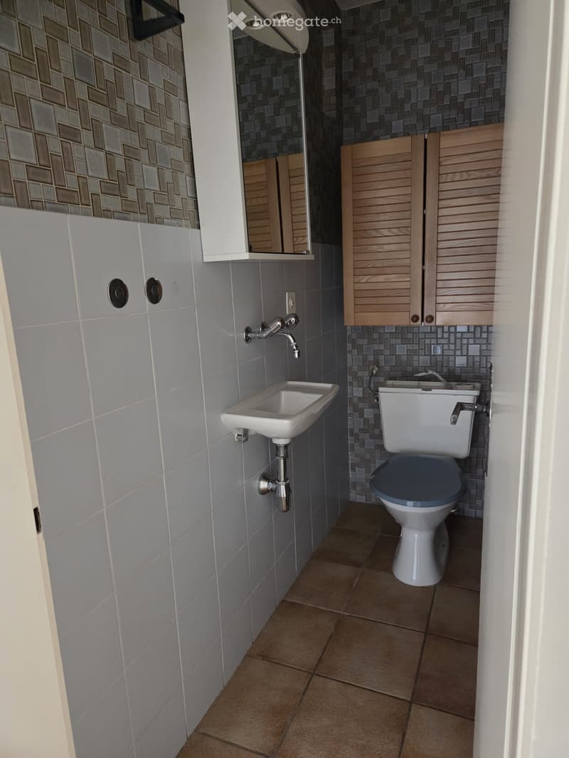 small toilet room with a sink and toilet and wood cupboards