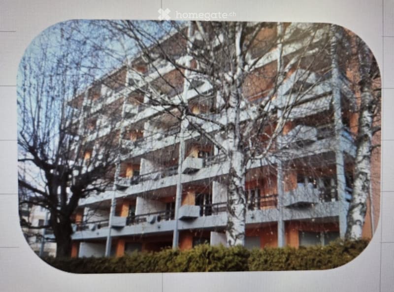 Multi-storey building with balconies, white and orange paint, large trees in front, bushes at the base