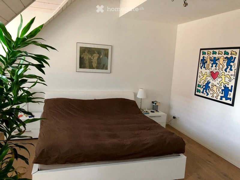 Modern bedroom with a large bed, nightstand, lamp, plant, and two picture frames on the walls.