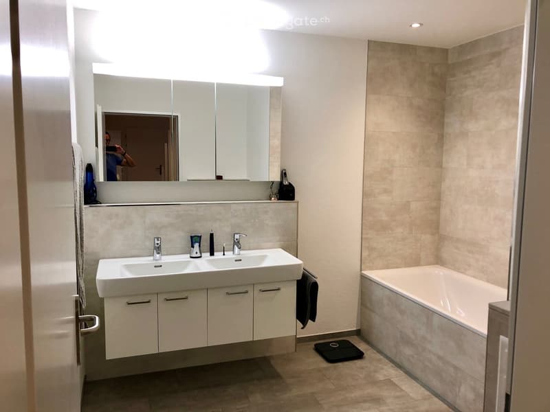 Modern bathroom with a double sink, large mirror, bathtub, and built-in cabinets.