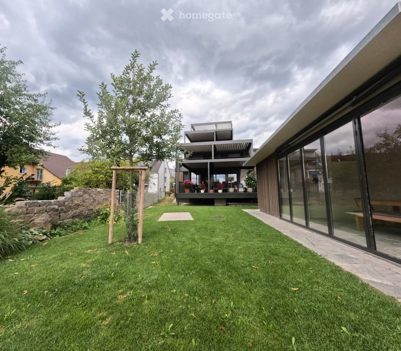 Modern garden with a well-maintained lawn, a stone wall, a wooden archway, and a contemporary house with large glass windows and a raised terrace.