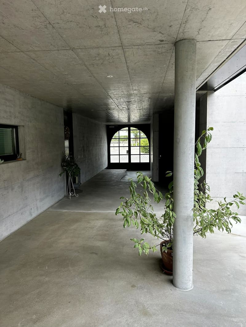 Minimalist concrete corridor with large arched window at the end, potted plant, and small decorative items on a shelf.