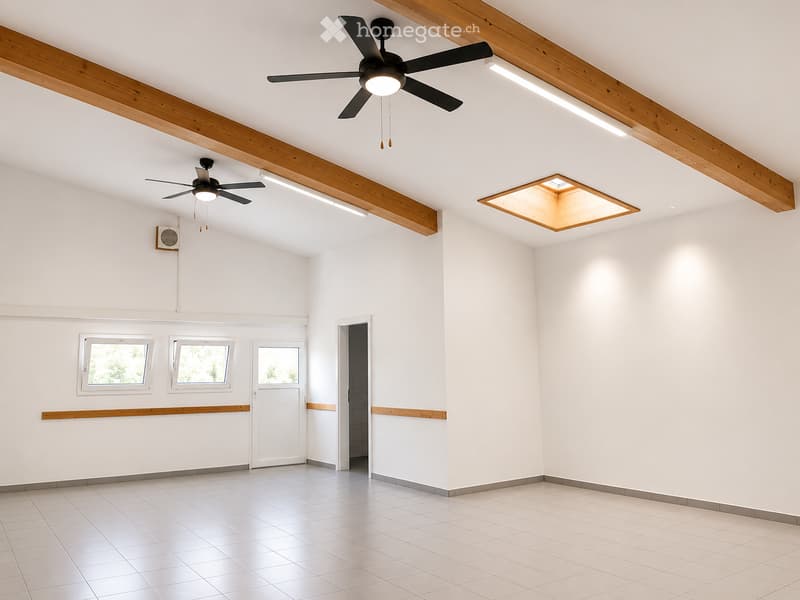 Empty room with white walls, tiled floor, wooden beams on the ceiling, two ceiling fans, and a skylight window. There are three windows and a door leading to another space.