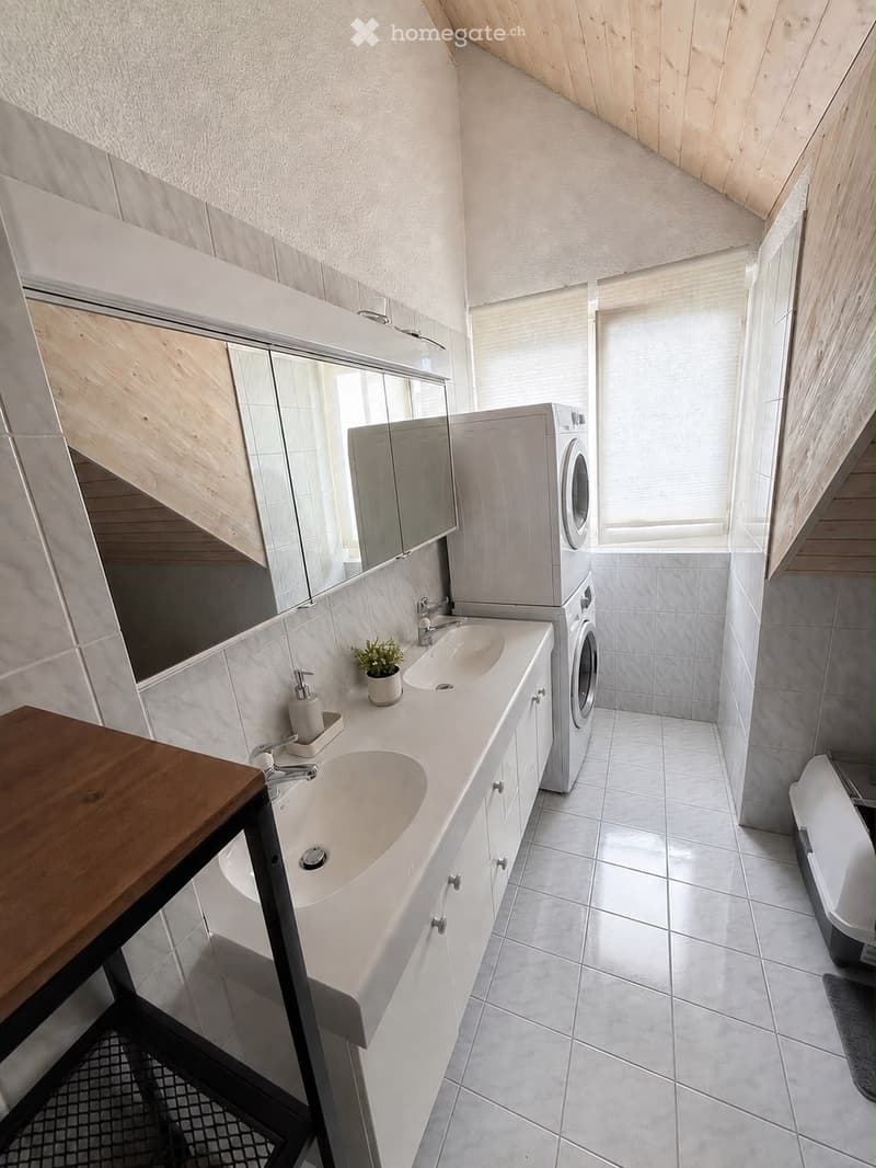 Modern bathroom with double sink, large mirror, washing machine, and potted plant on the counter.