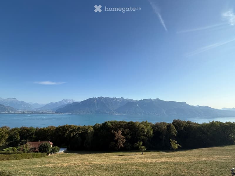 A grassy field with trees and a small house, overlooking a lake and mountain range in the background.