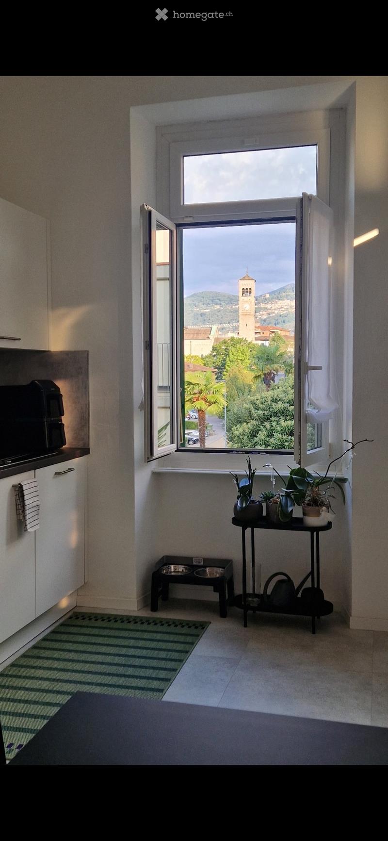 Bright room with large window offering scenic view, equipped with a small table holding potted plants, a stool with bowls, and a microwave on a cabinet.