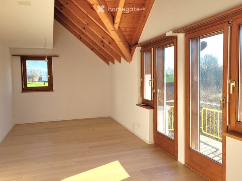 Empty room, wooden floors, two glass doors, wooden ceiling