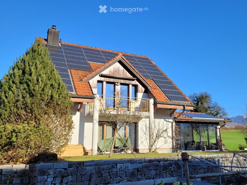 Detached house, solar panels on the roof, terrace, glass wall