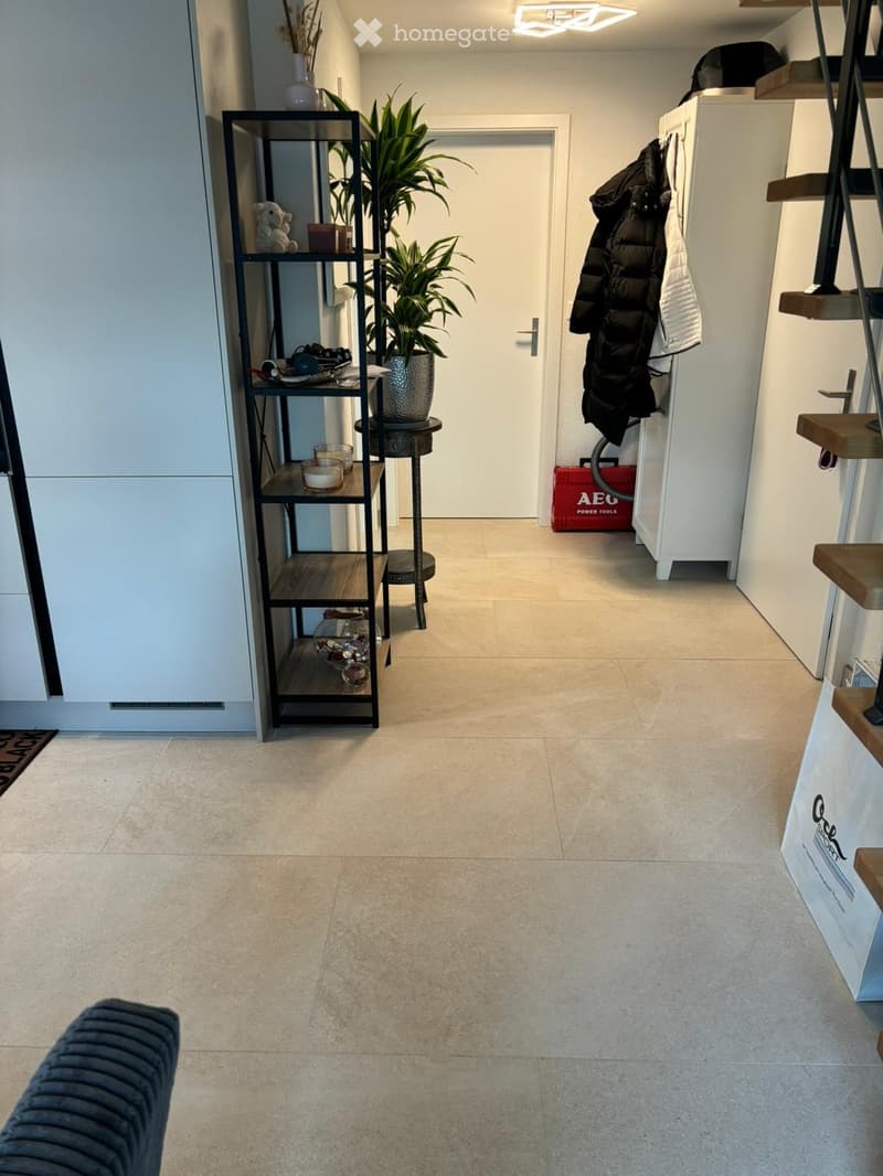 Entrance hall with floor, shelves, and plants. A coat rack, storage box, and steps visible.
