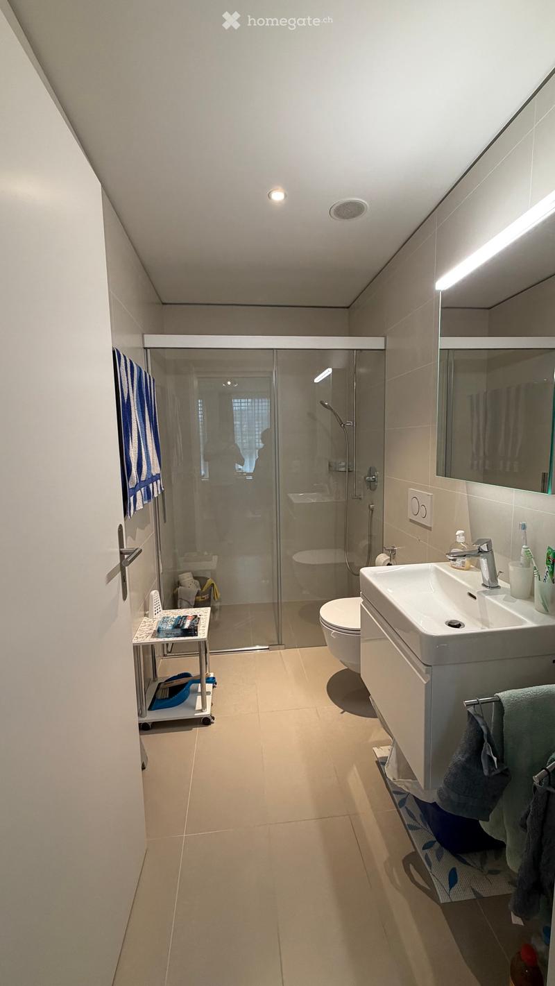 Modern bathroom with a glass-enclosed shower, a sink with a mirror, a toilet, and a towel rack. The floor is tiled, and the walls are light-colored.
