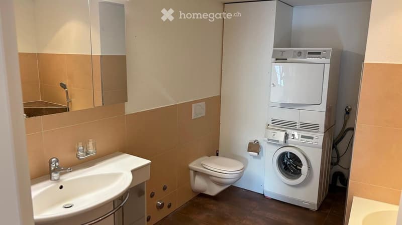 Modern bathroom with a sink, toilet, shower, washing machine, and dishwasher. Features include a mirror, cups on the sink, and a tiled wall design.