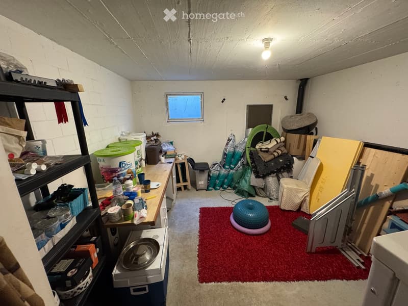 The room is cluttered with various items including shelves, a pet bed, a pet carrier, a table with cups and bottles, a pet food container, and a microwave. There is also a red carpet with a pet bowl on it.