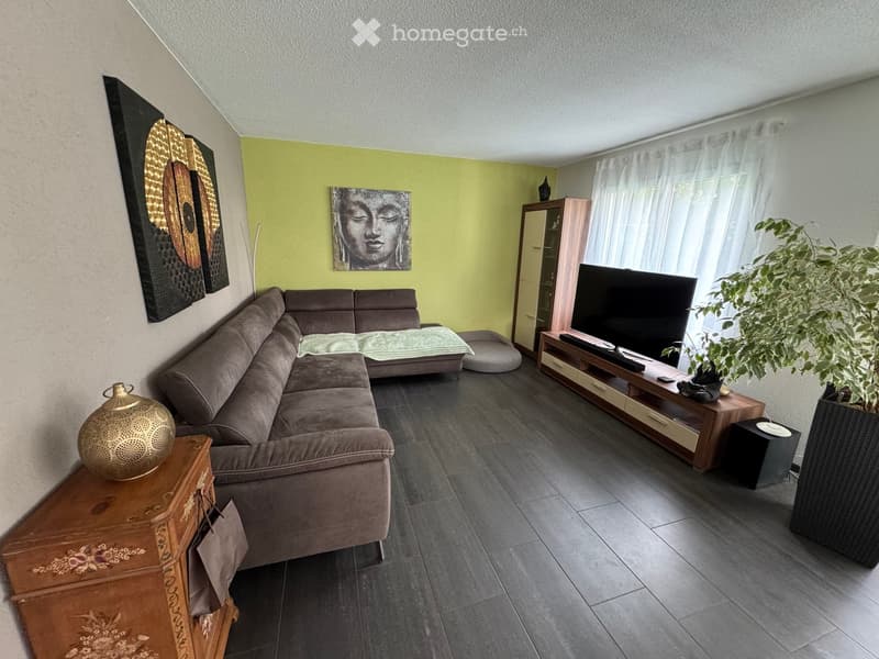 Modern living room with grey sectional sofa, wooden coffee table, flat-screen TV, decorative plant, and artwork on the walls.