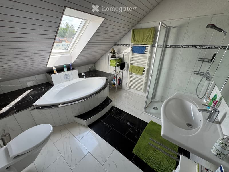 Modern bathroom with a large bathtub, toilet, sink, and glass-enclosed shower. Features include a towel rack with towels, a bathroom cabinet, and a skylight window providing natural light.
