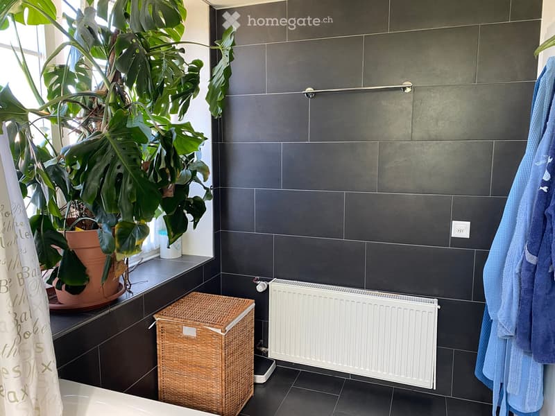 Bathroom with dark grey tiles, a radiator, a wicker basket, a large potted plant, and a blue towel hanging on the side.