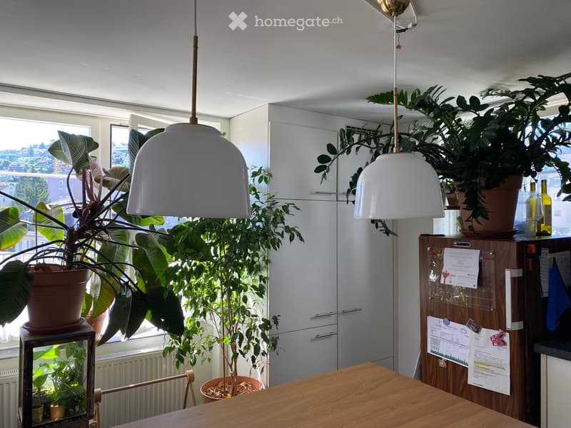 Bright kitchen with white cabinets, wooden table, pendant lights, and several potted plants near large windows offering a view.