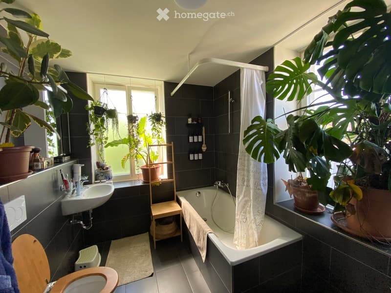 Bathroom with dark tiles, a white bathtub, a sink, a toilet, and several potted plants near the windows.