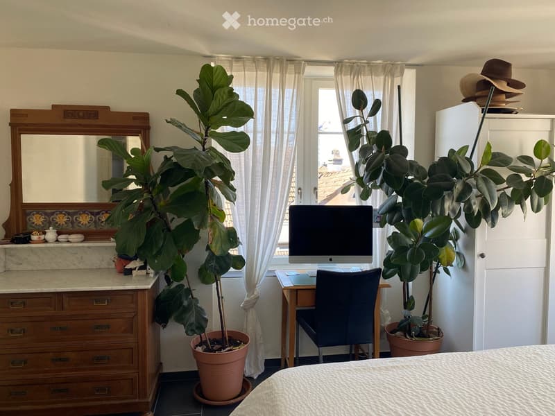 A well-lit bedroom with a bed, a wooden desk with a computer, a chair, a large mirror, a wooden dresser, and several potted plants. The room features large windows with white curtains and a view of the city.