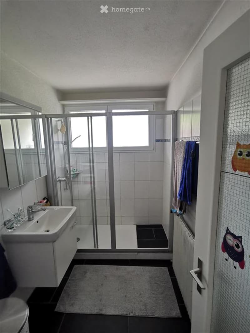 Bathroom. Modern bathroom with a white sink, mirror, glass shower enclosure, and towels hanging on a rack. The floor is tiled in black and grey, and there is a small rug in front of the sink.