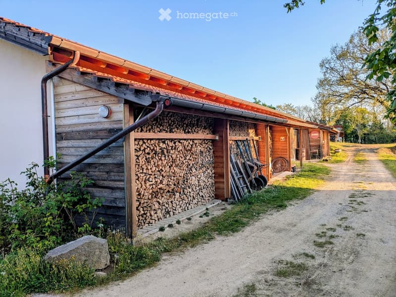 Wooden storage shed with a tiled roof, stacked firewood, and a gravel pathway leading to additional wooden structures in a rural setting.
