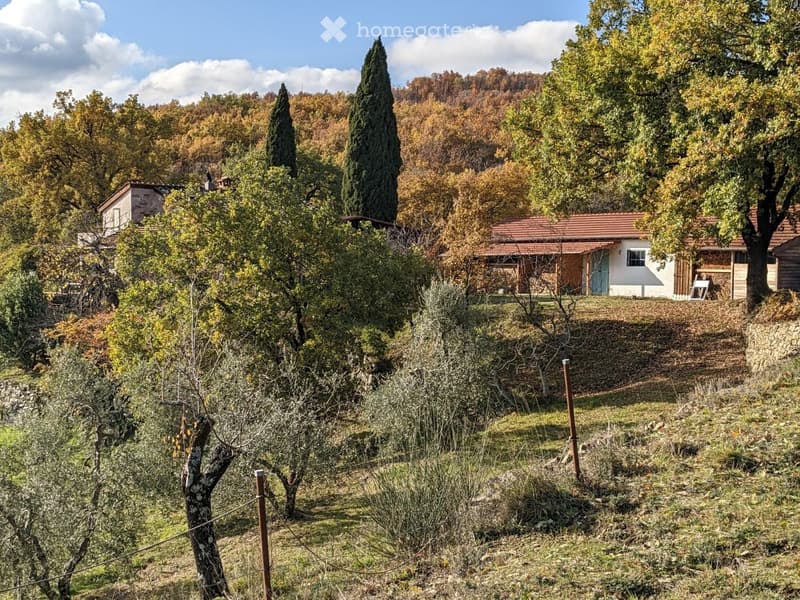 A rustic countryside setting with a small white house, red-tiled roof, surrounded by olive trees and autumn foliage.
