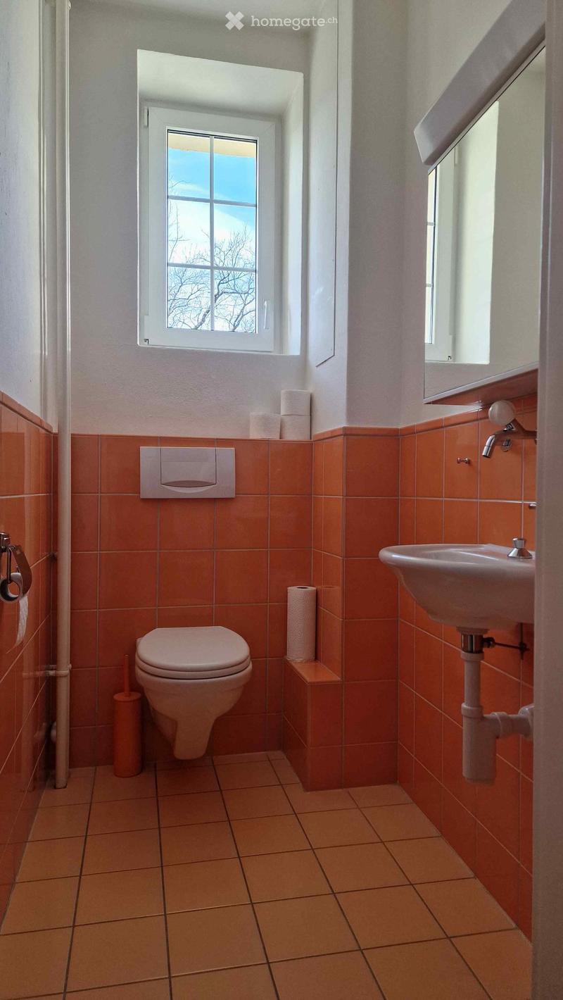 Bathroom with toilet, sink, mirror, and orange tiles