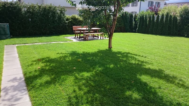 Well-maintained garden with a lawn, a tree, and a wooden picnic table with benches in the background.