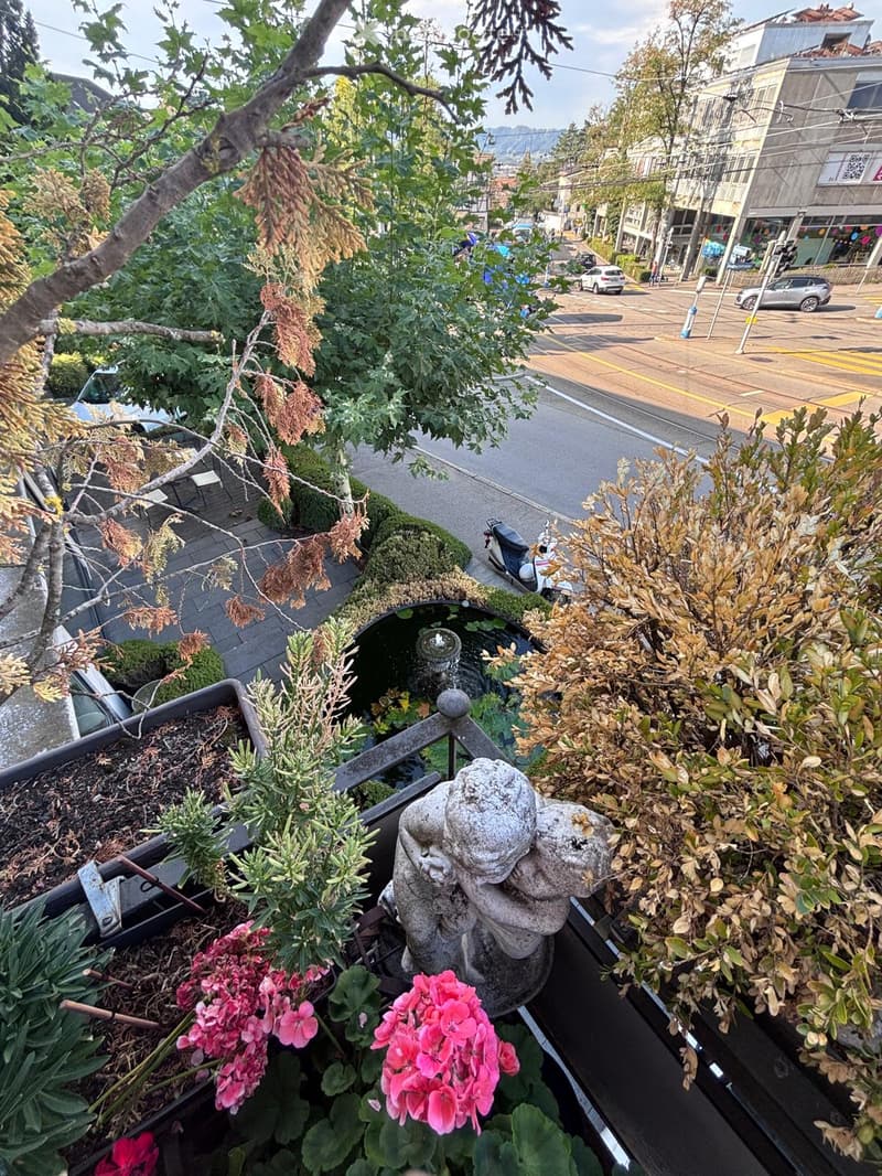 Balcony with a small fountain, stone sculpture, and potted plants, overlooking a street with cars and buildings.
