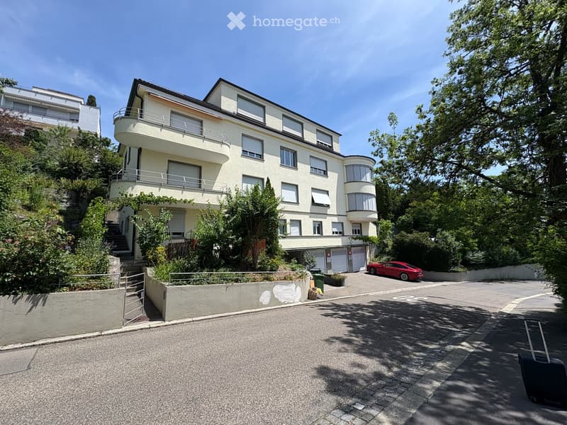 Grosszügige 6.5-Zimmer-Terrassenwohnung an der Restelbergstrasse in Zürich befristet für 1 Jahr (1)
