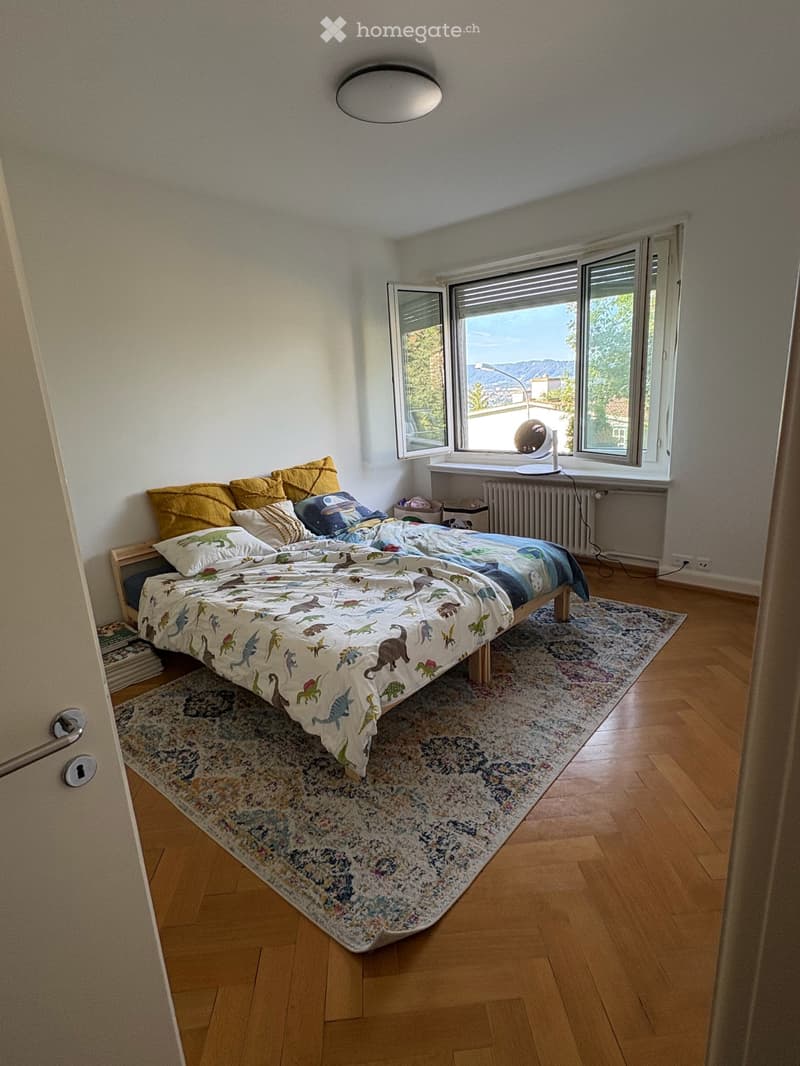 Grosszügige 6.5-Zimmer-Terrassenwohnung an der Restelbergstrasse in Zürich befristet für 1 Jahr (13)