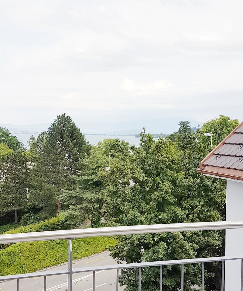 Balcony overlooking a scenic view of a lake, trees, and distant mountains.