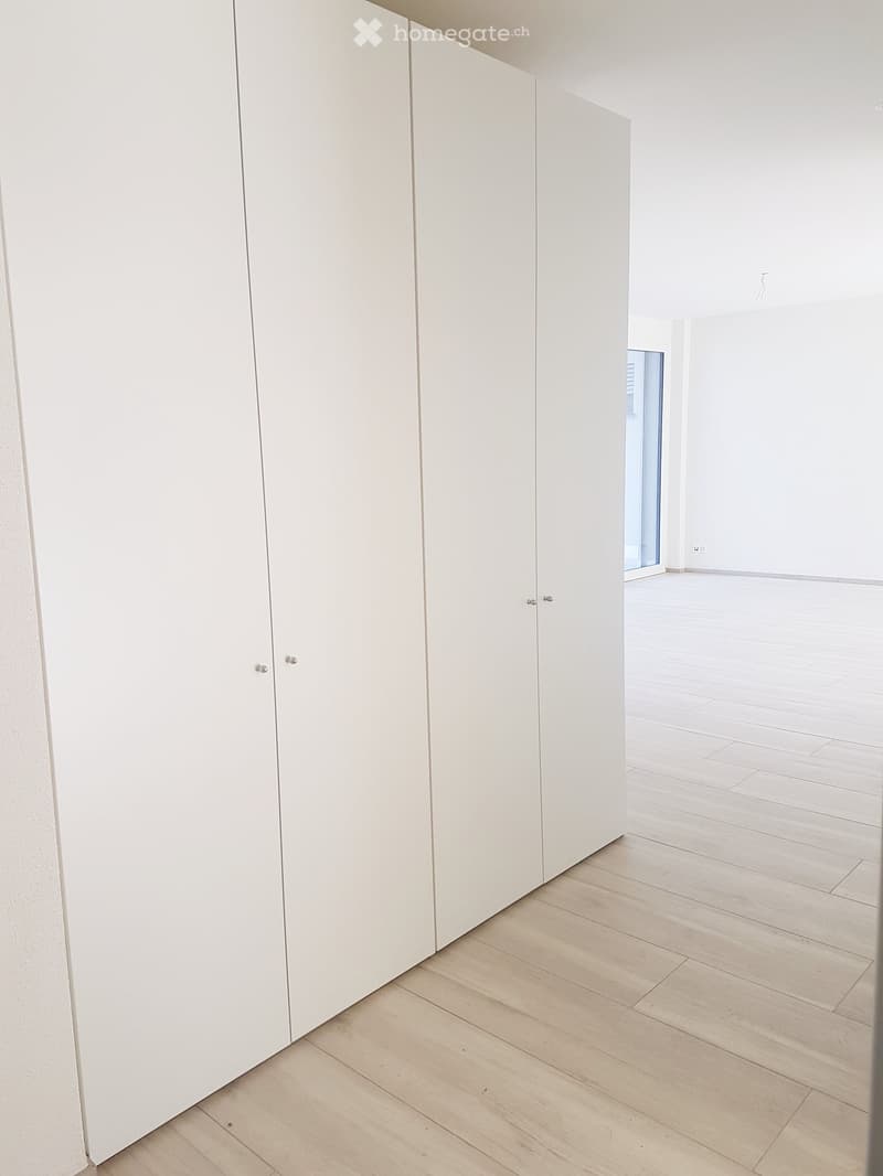 Empty room with light wooden flooring and white walls, featuring a large white closet on one side and a glass door leading to another space.