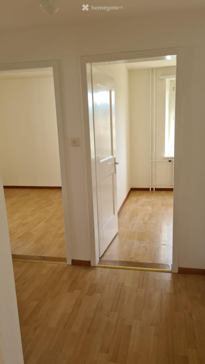 Wooden floor, white walls, doors leading to other rooms, power outlet, window
