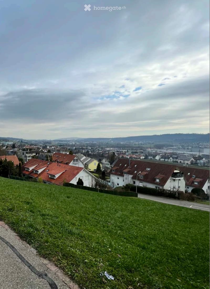 grass lawn, houses in the distance, cloudy sky