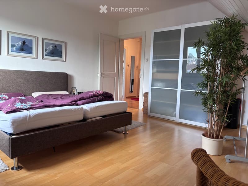 Modern bedroom with a large bed, grey headboard, purple bedding, a tall potted plant, a sliding wardrobe, and two picture frames on the wall.