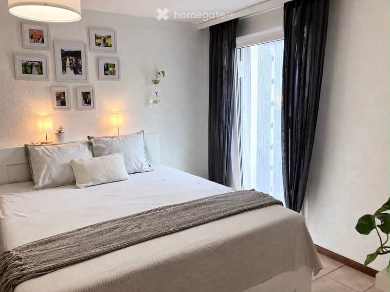Modern bedroom with a large bed, multiple pillows, a grey throw blanket, two table lamps, picture frames on the wall, and a small plant on the windowsill.
