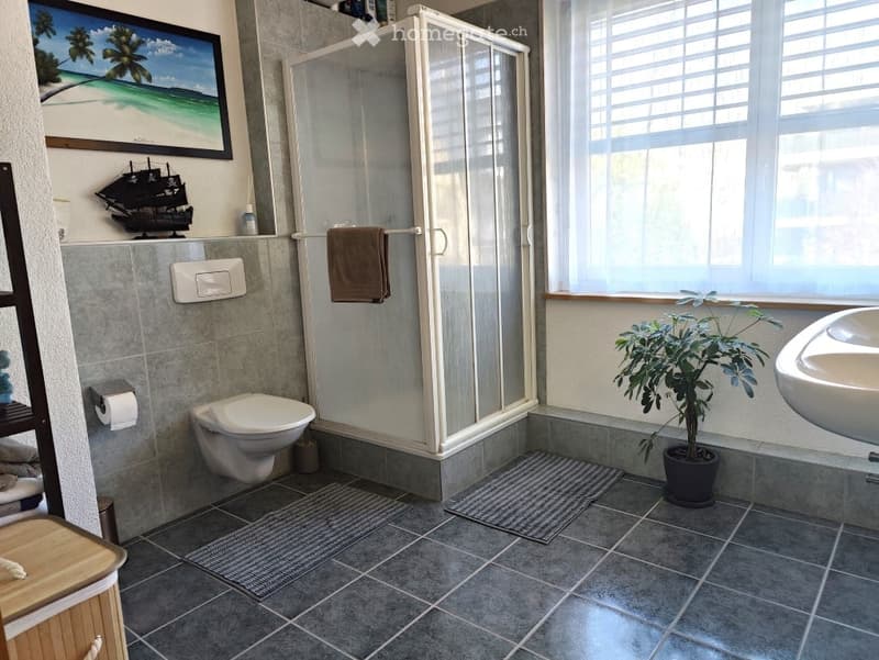 Modern bathroom with a toilet, shower, sink, towel, potted plant, picture frame, and shelf.