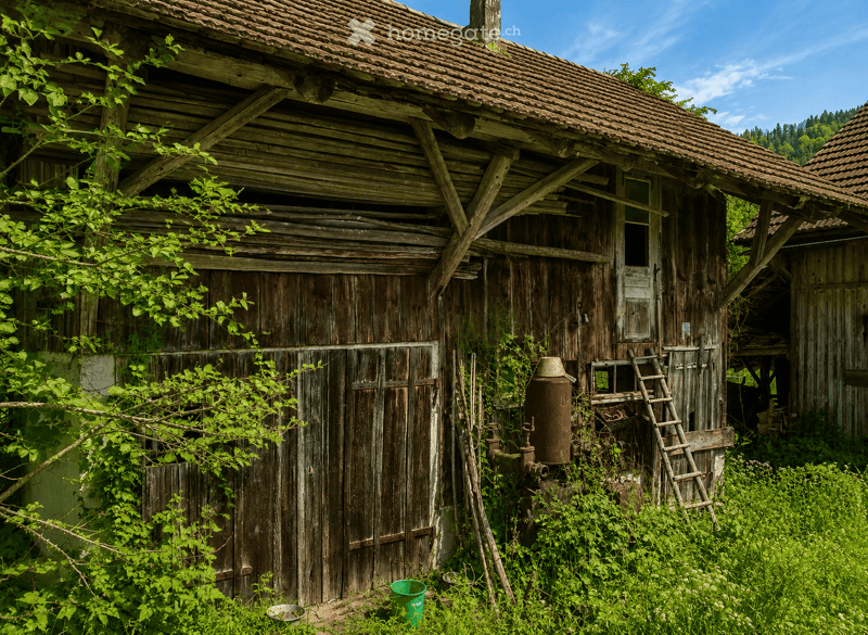 An old wooden barn with a tiled roof, weathered wooden doors, and a small window. The surrounding area is overgrown with grass and vegetation, with a ladder and a metal container visible near the entrance.