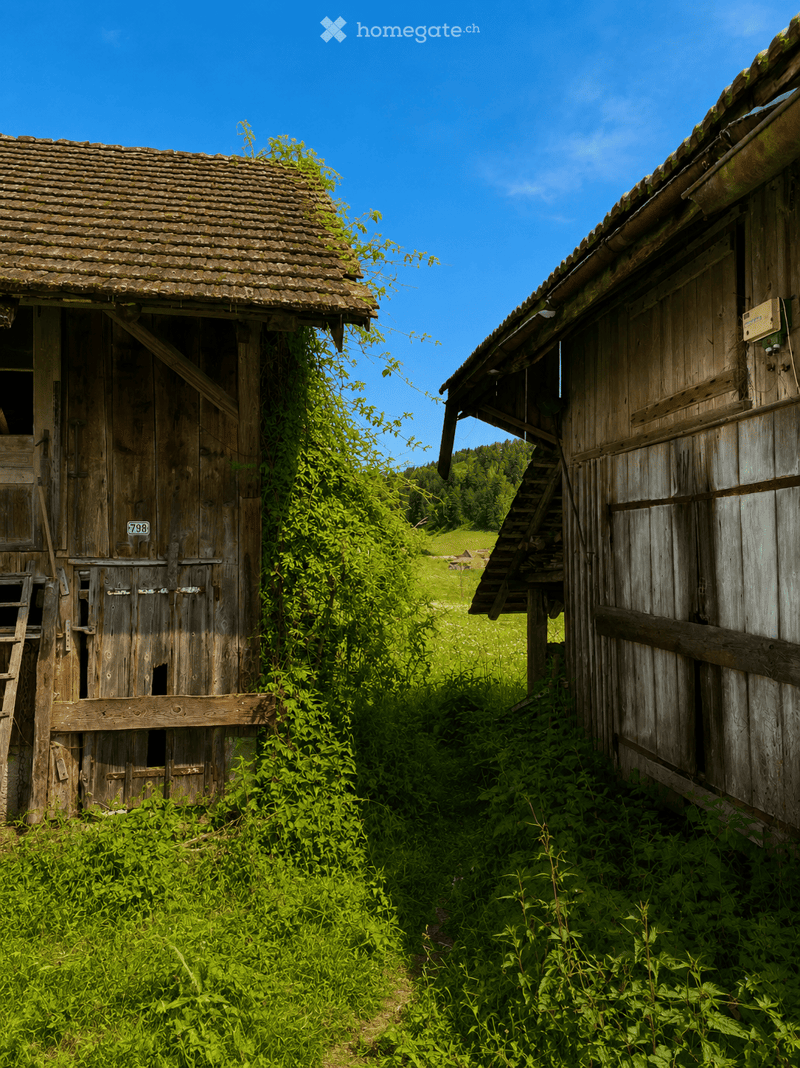 Two rustic wooden buildings with weathered wooden doors and roofs, surrounded by overgrown grass and vegetation, with a clear blue sky in the background.