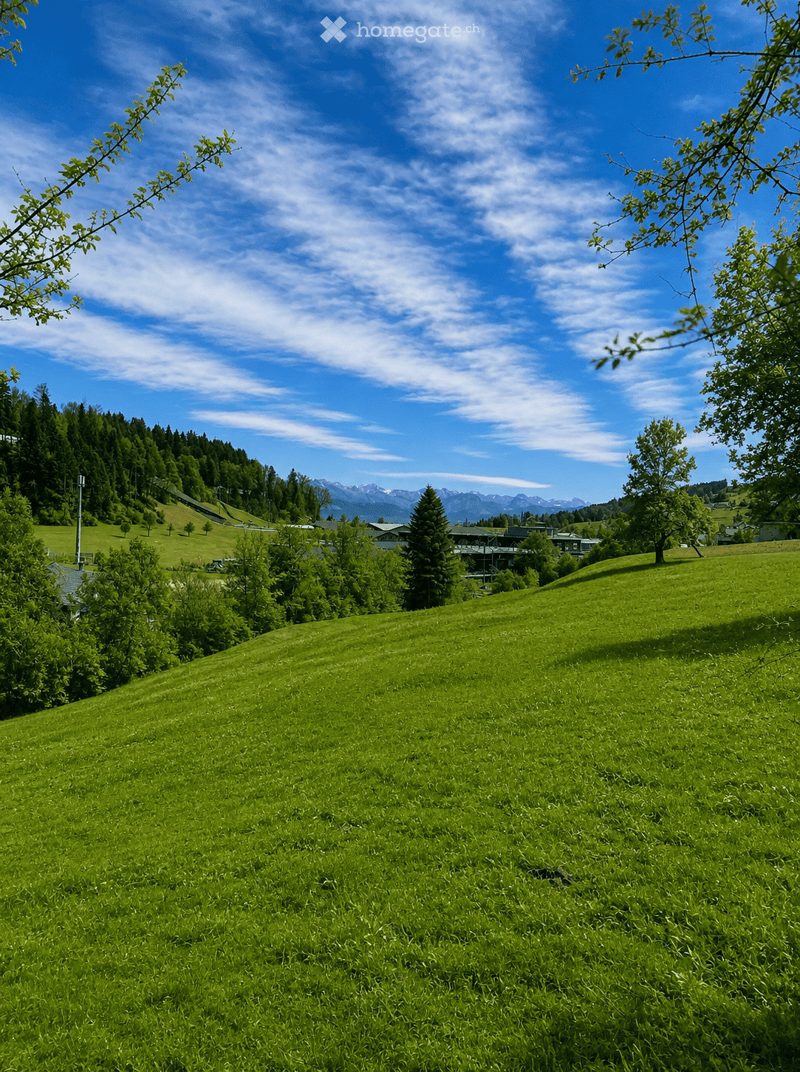 A lush green meadow with scattered trees and distant mountains under a clear blue sky.