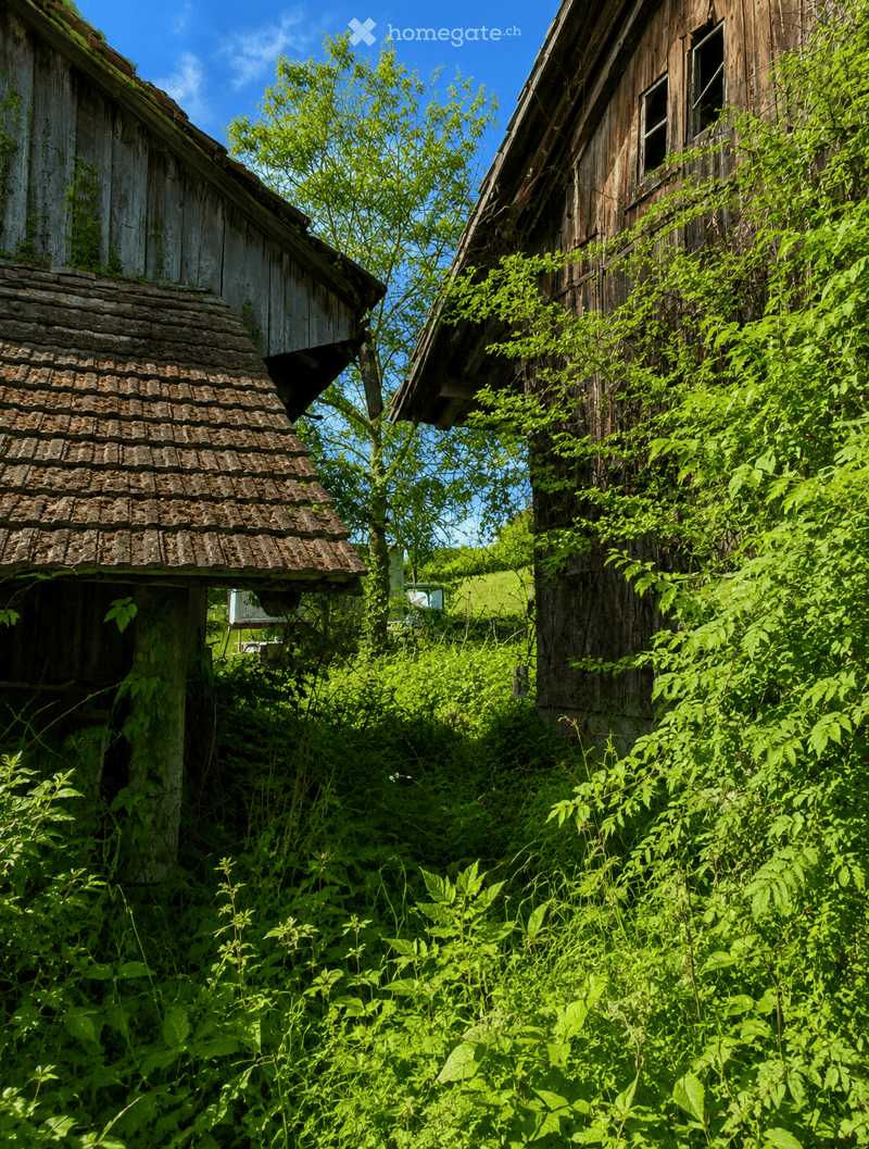 Two rustic wooden buildings with weathered roofs and overgrown vegetation, surrounded by dense green foliage and trees.
