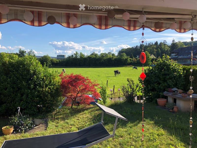Garden with a lounge chair, decorative wind chimes, potted plants, and a view of a green field with grazing cows.
