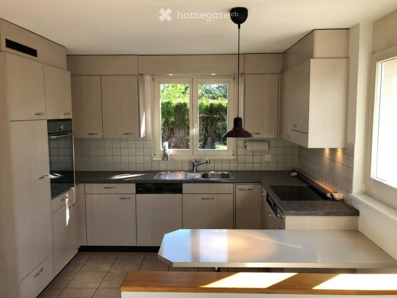 Modern kitchen with light wood cabinets, stainless steel appliances, a central island, and a window overlooking greenery.